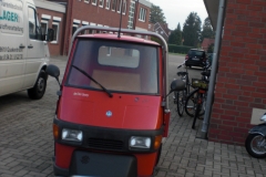 081018 Schrottsammeln (12)